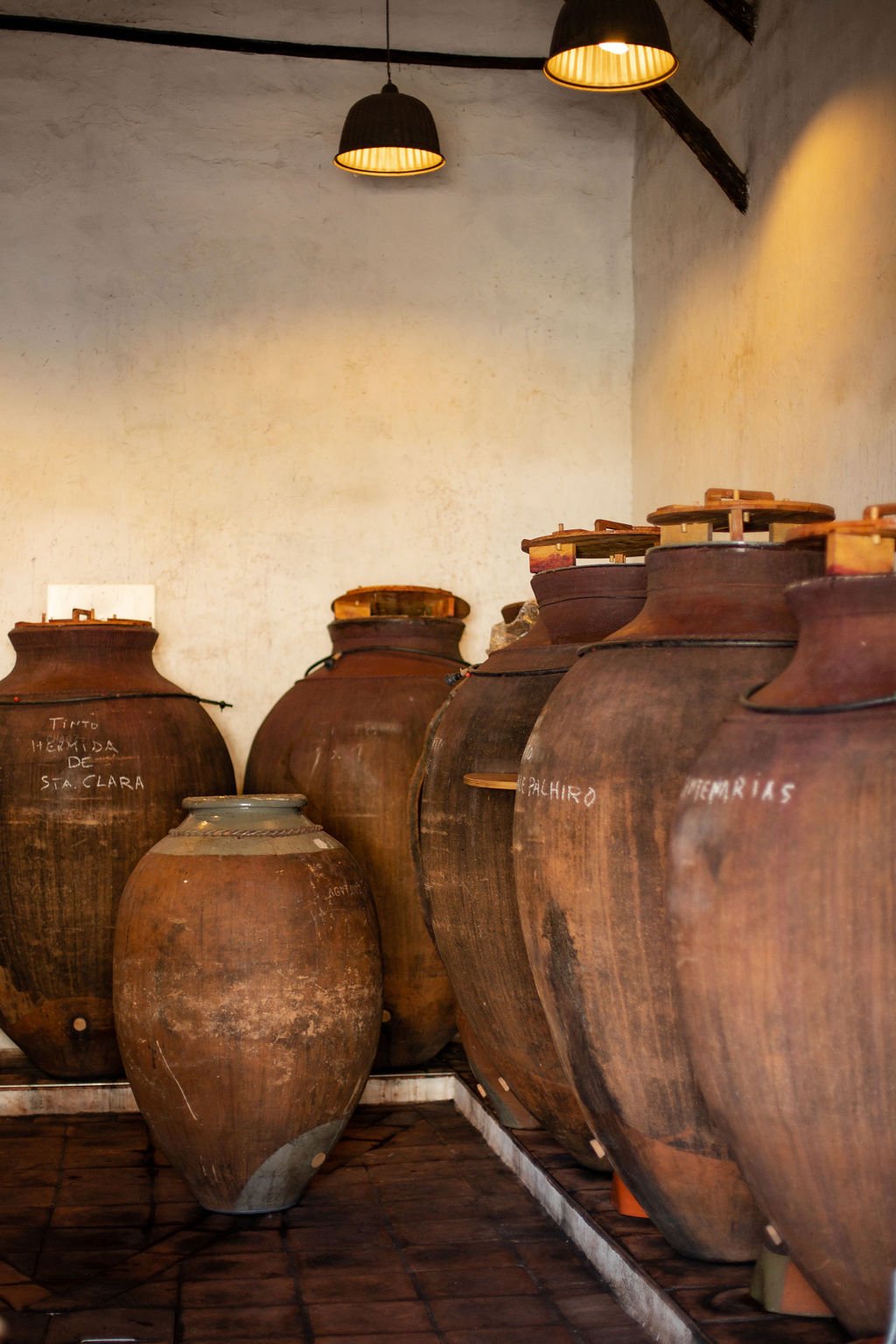 Talhas de barro — vinificação ancestral